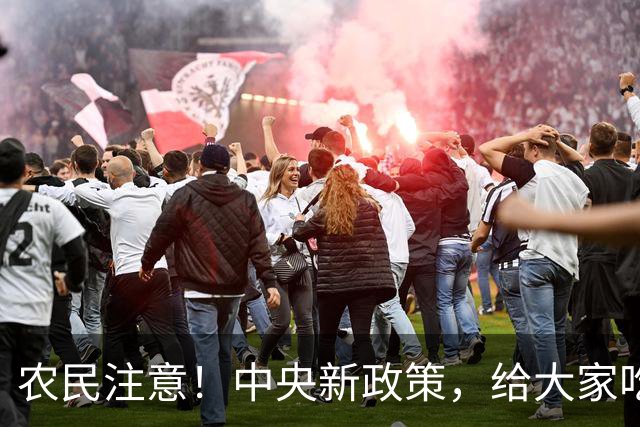 农民注意！中央新政策，给大家吃下定心丸