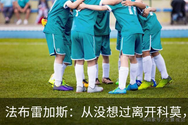 法布雷加斯：从没想过离开科莫，一想这事可能就到头了