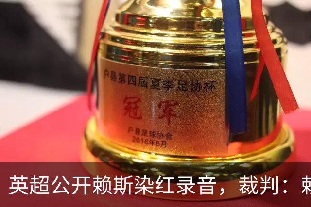 英超公开赖斯染红录音，裁判：赖斯你让我很难做